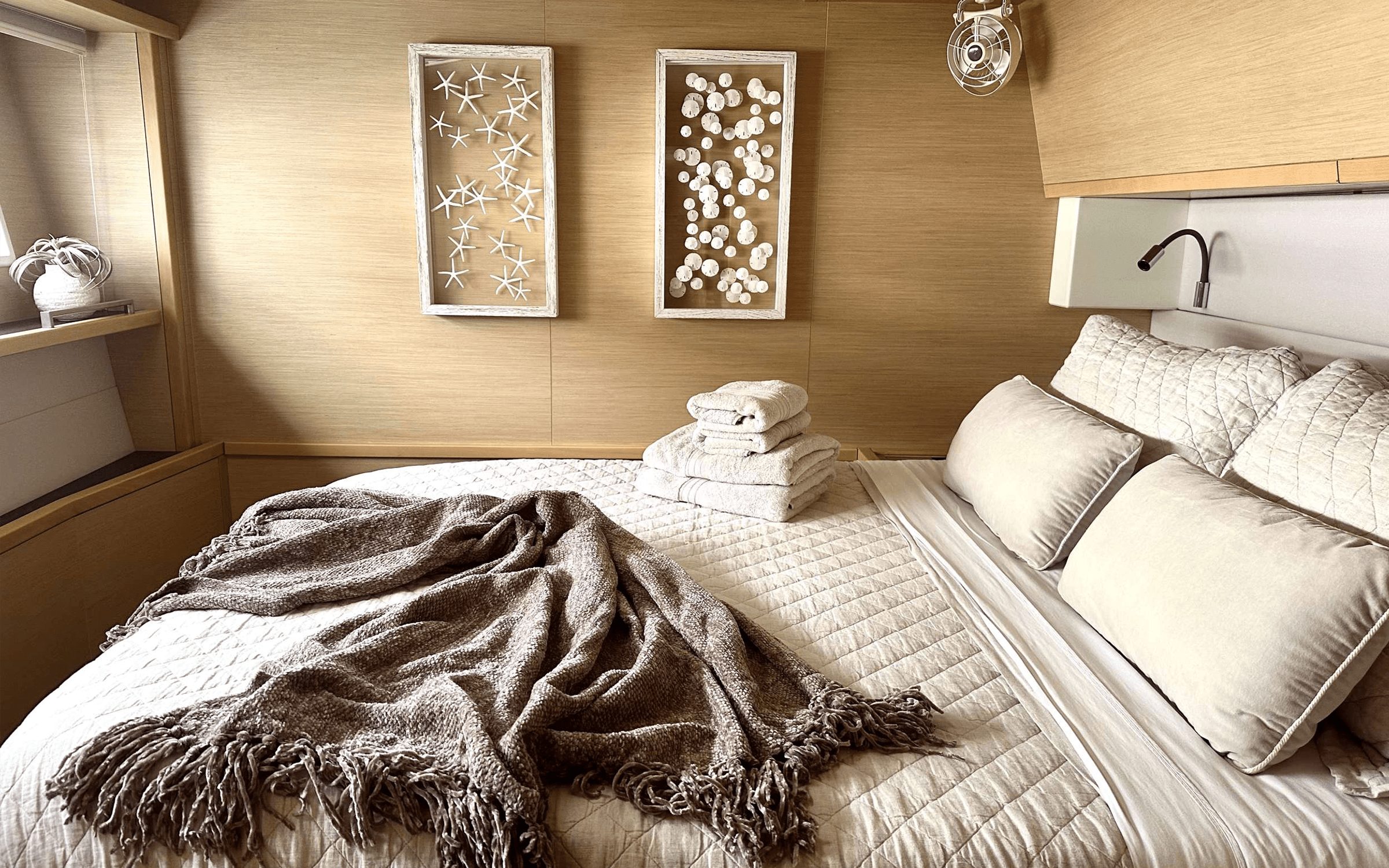Ascension Yacht Charter Cabin.png