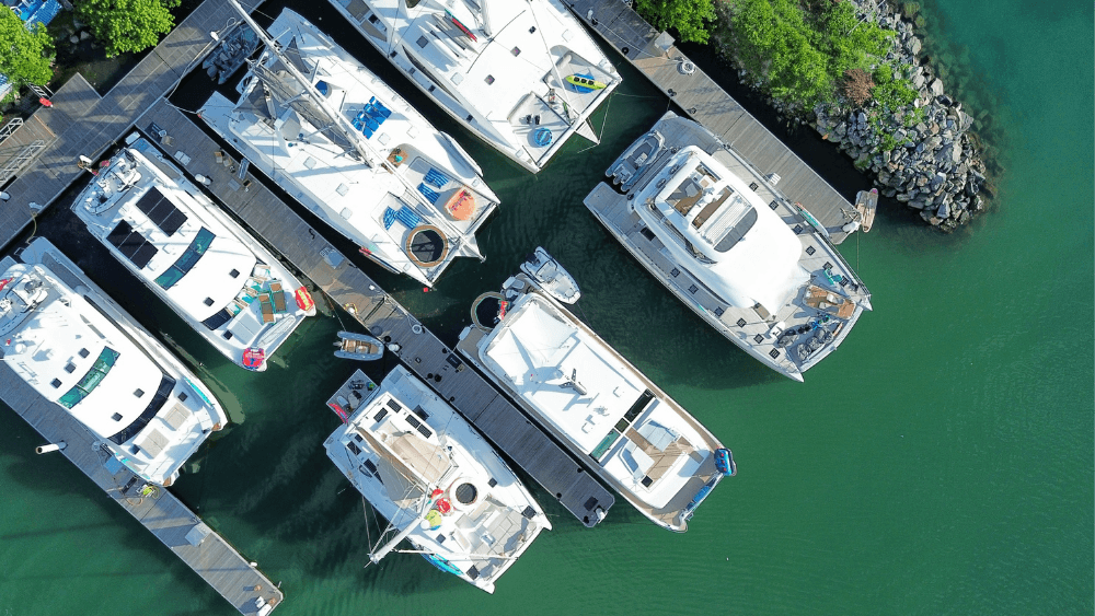 BVI POSTS - Ritzy.png