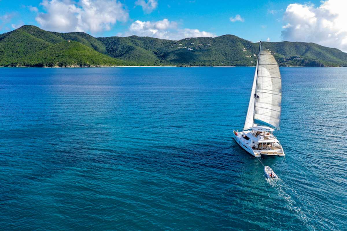 Dolphin Daze Yacht Charter