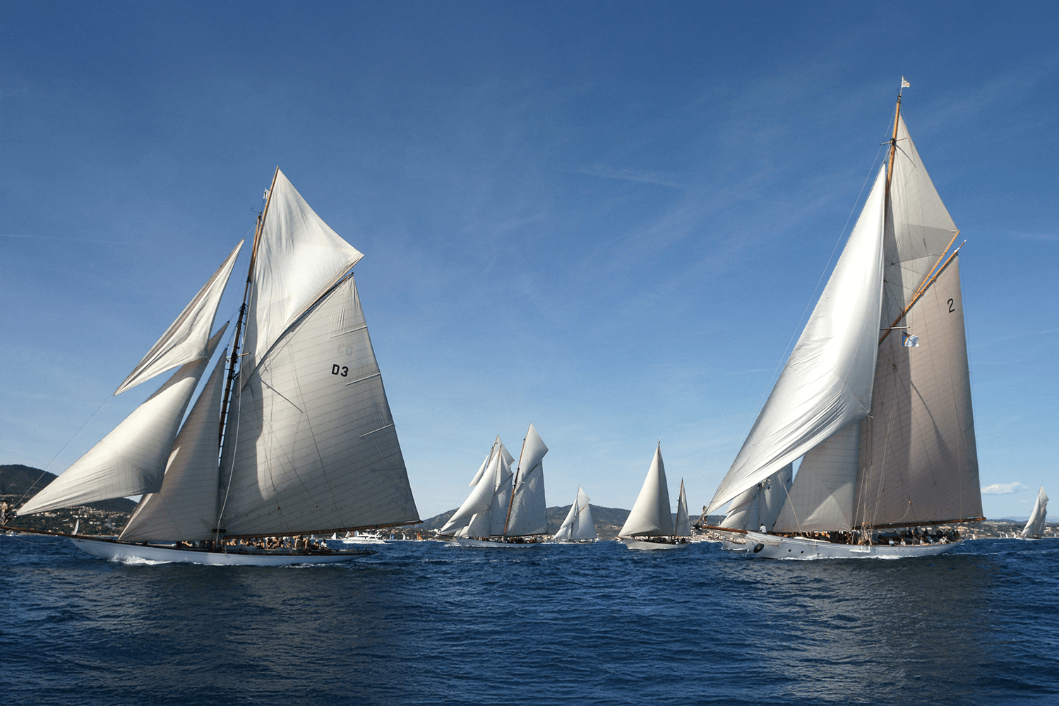 Les Voiles de Saint-Tropez