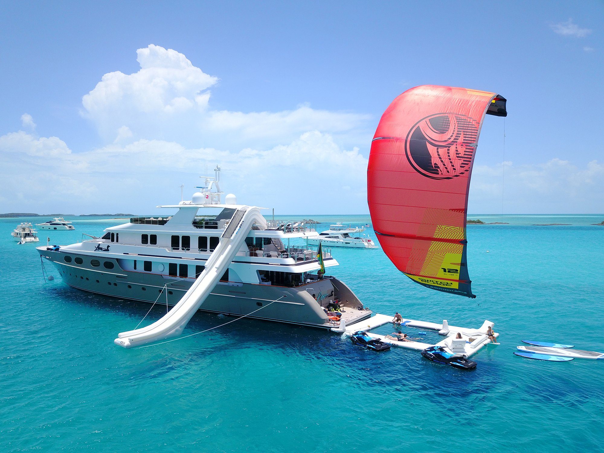 MY_Loon_w_Kite_1-1682446681.jpg