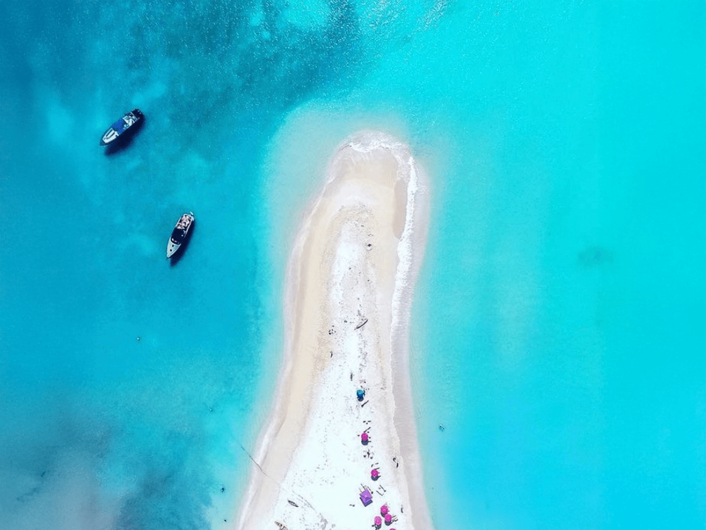 Pine Island.png