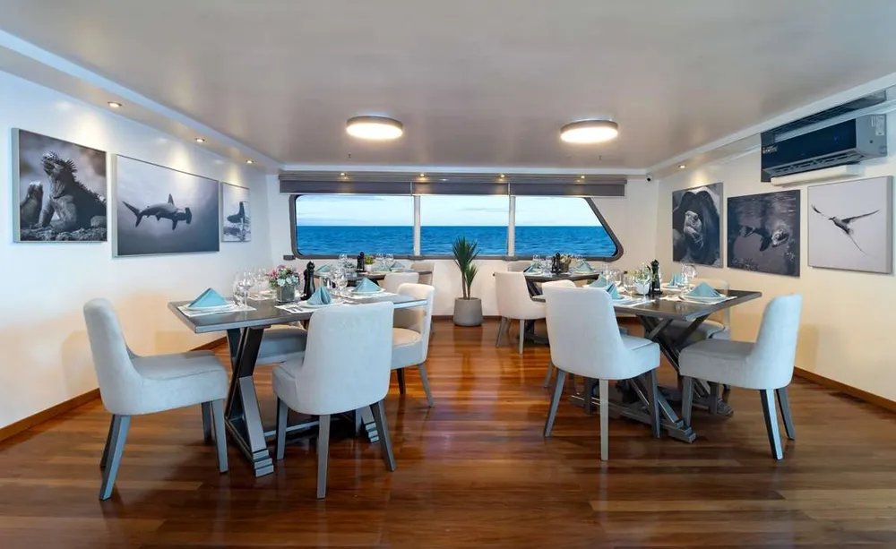 yacht-595984