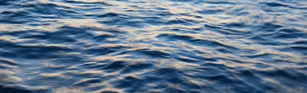 Why choose Ritzy Charters facilitate your sale?