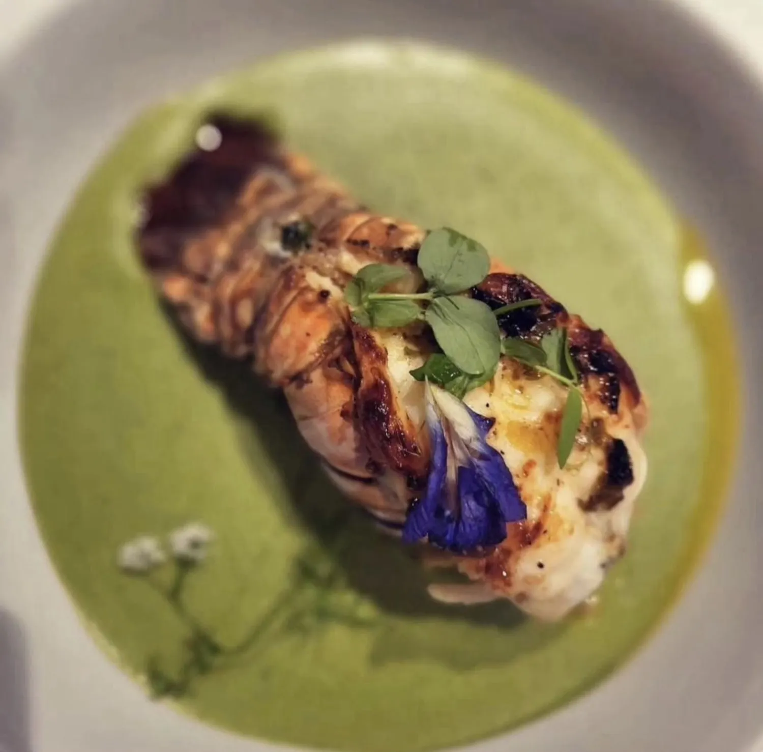 menu-6