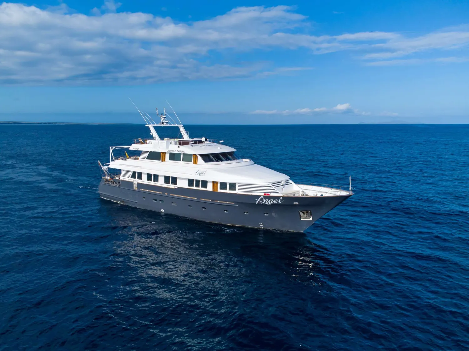 GALAPAGOS ANGEL
