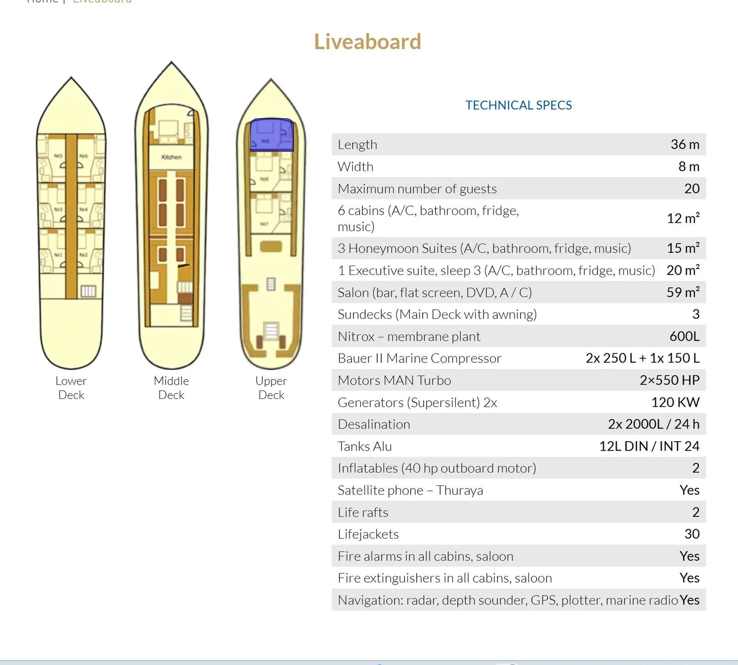 layout